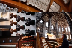 Jahresbericht 2018/19 ELKB