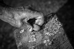 Internationale Gedenkfeier KZ-Gedenkstätte Hinzert/Rheinland-Pfalz, 20.09.2025