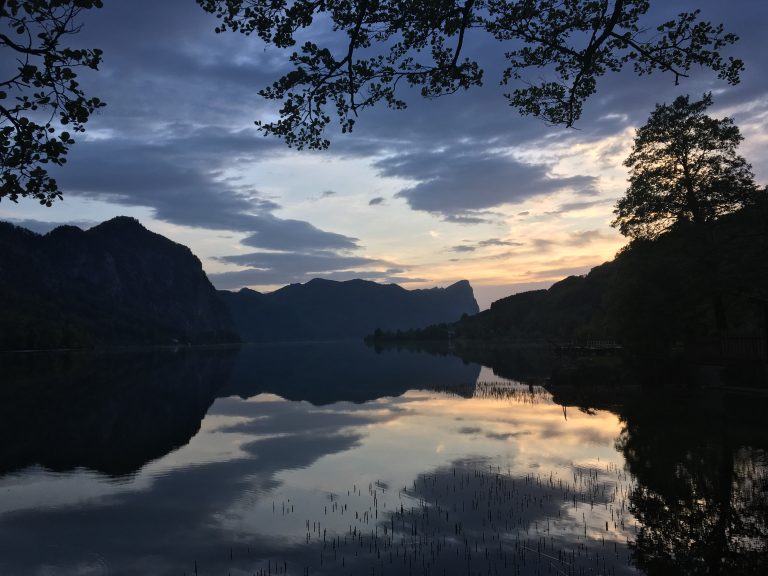 Waldmorgenwelt, Frühling