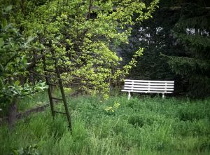 Notizen von unterwegs: Wege gehen