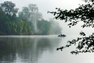Rheinmorgen