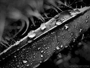 Morning moments